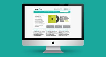 俄罗斯软件产品开发公司 在创新与挑战中前行